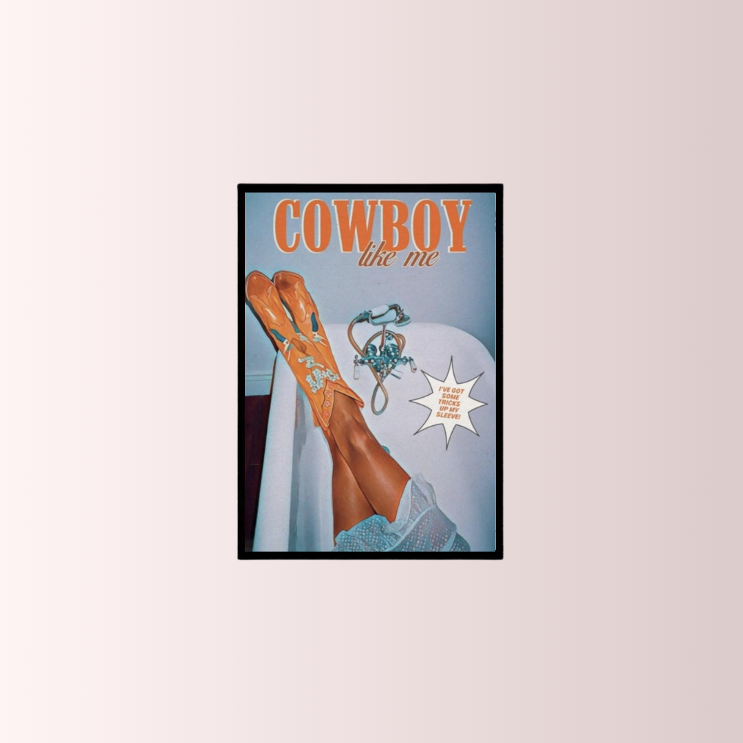 Cowboy Poster Tablo