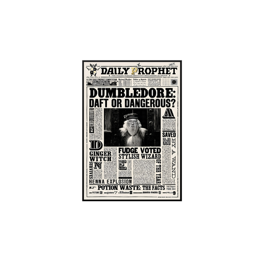 Harry Potter Daily Rophet Poster Tablo