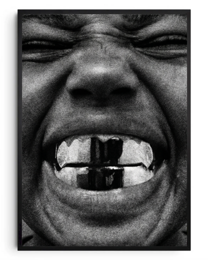 Bully- poster tablo