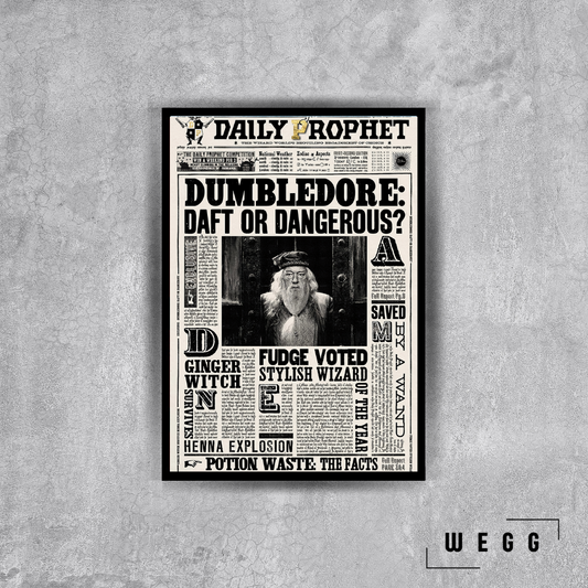 Harry Potter Daily Rophet Poster Tablo - Poster tablo